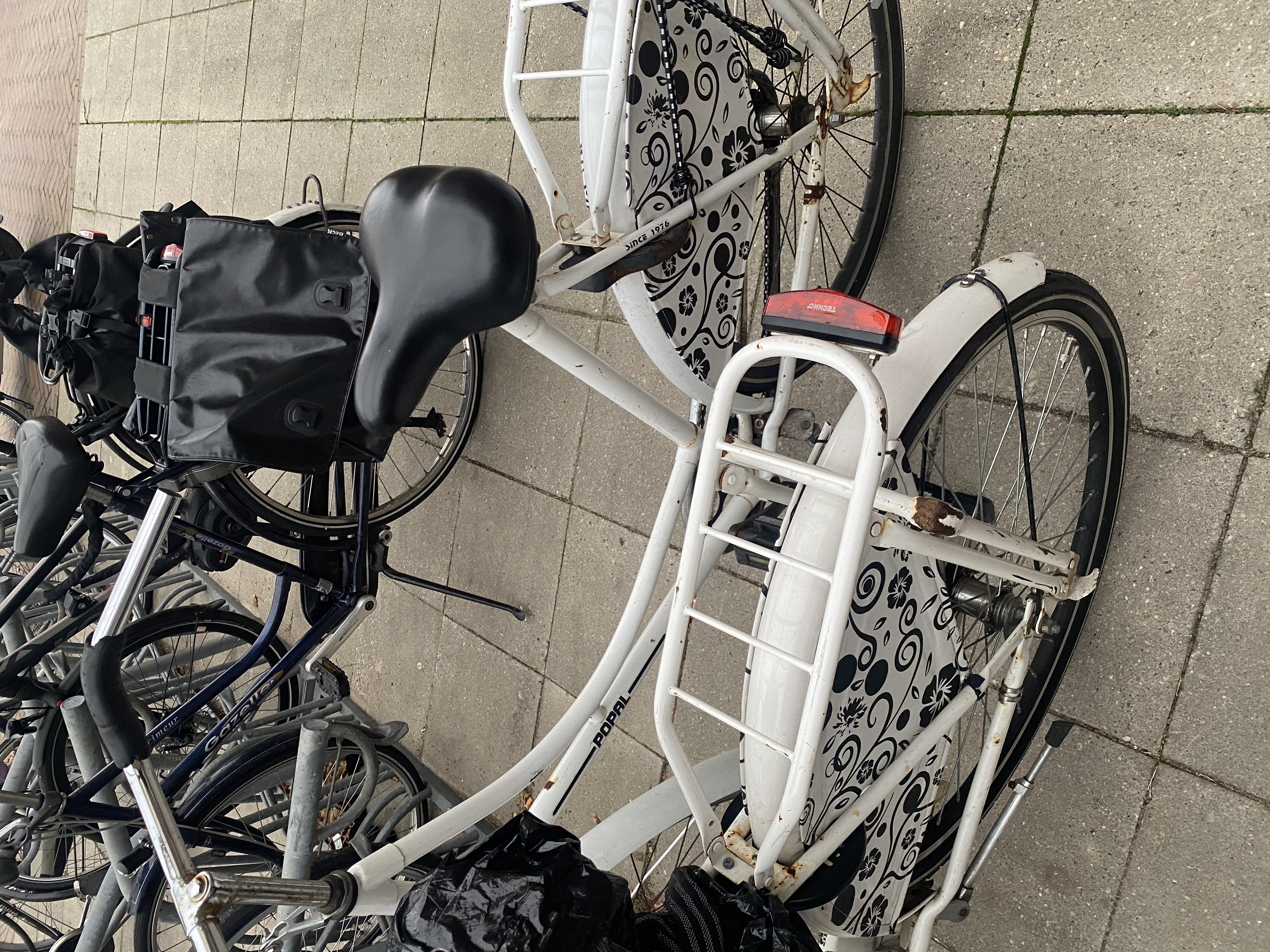 Logisch Aangenaam kennis te maken Floreren Verloren in Zwolle - fiets -